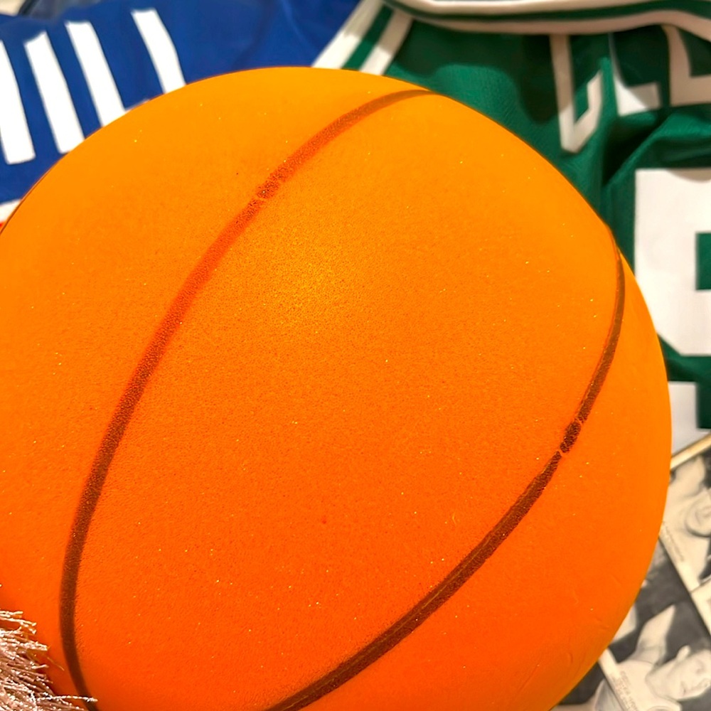 Silent bouncing toy basketball .. as seen online.. bounces in the house quietly!